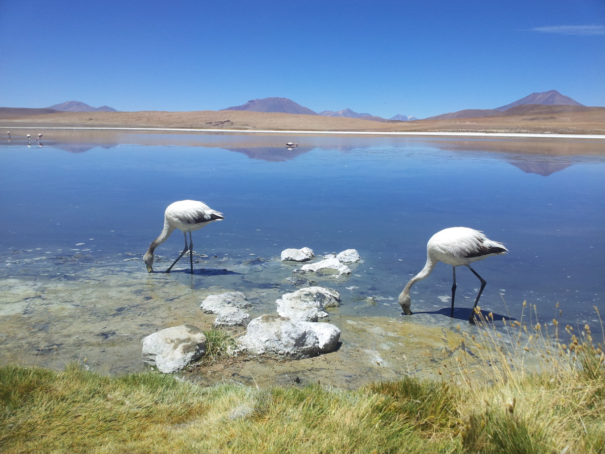 Dia 31/12, segundo dia em Uyuni, o deserto, as lagoas e o ano novo